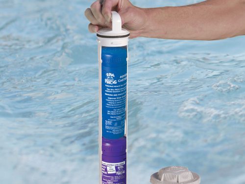 SPA FROG In-Line Sanitizing System with Bromine